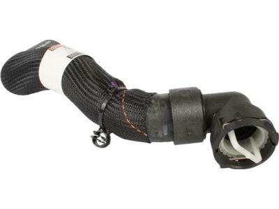 Ford F2GZ-8286-B Lower Hose