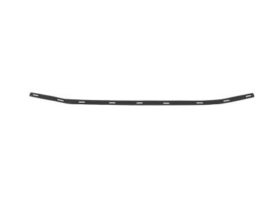 Ford G1EZ-17K946-A Grille Surround