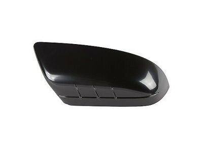 Ford CT4Z-17D742-BPTM Mirror Cover