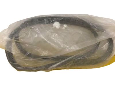 Ford BE8Z-5843720-A Weatherstrip