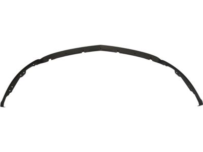 Ford AH6Z-17626-AA Valance