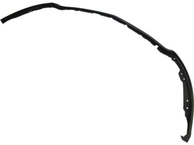 Ford AH6Z-17626-AA Valance