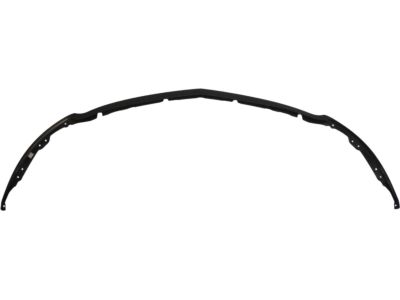 Ford AH6Z-17626-AA Valance