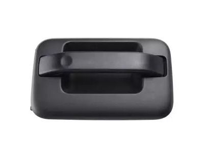 Ford CL3Z-1626604-AD HANDLE ASY - DOOR - OUTER