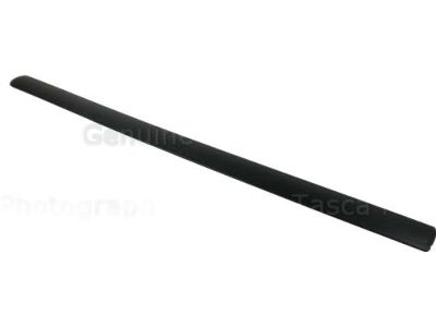 Ford 3T1Z-6120878-AA Body Side Molding