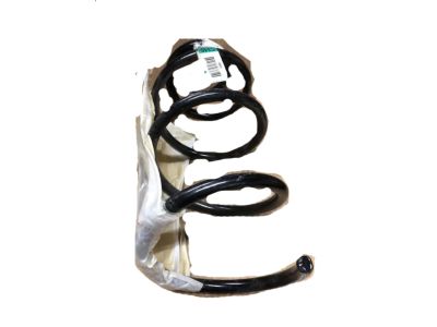 Ford BV6Z-5310-B Coil Spring