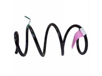 Ford BV6Z-5310-B Coil Spring