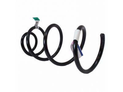 Ford BV6Z-5310-B Coil Spring