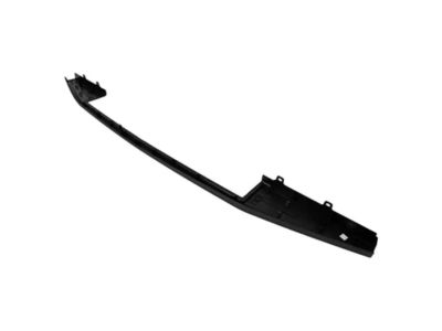 Ford FL3Z-9941018-AC Tail Gate Molding