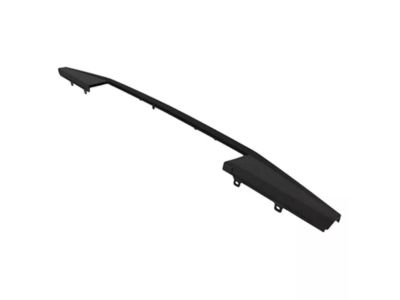 Ford FL3Z-9941018-AC Tail Gate Molding