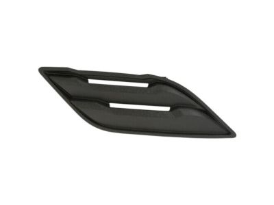 Ford HL3Z-16228-AA Ornament