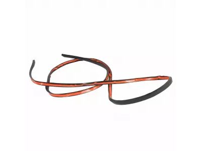 Ford DP5Z-99021A46-B Seal Strip