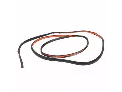 Ford DP5Z-99021A46-B Seal Strip