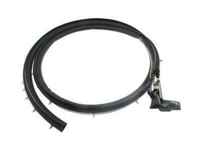 Ford BR3Z-6320531-A Lower Weatherstrip