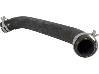 Ford FR3Z-8286-F Lower Hose