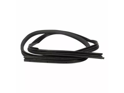 Ford DT4Z-7820708-A Weatherstrip On Body