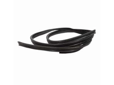 Ford DT4Z-7820708-A Weatherstrip On Body