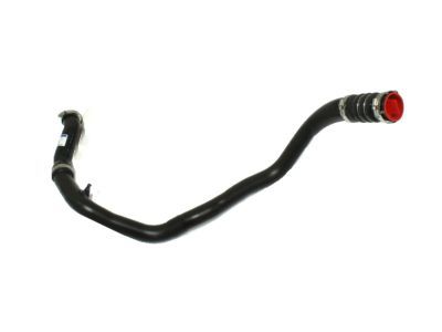 Ford BL3Z-6C646-A Lower Hose