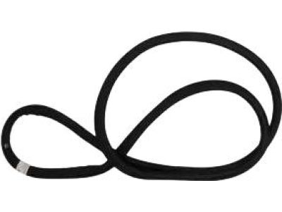 Ford JL1Z-78404A06-B Surround Weatherstrip