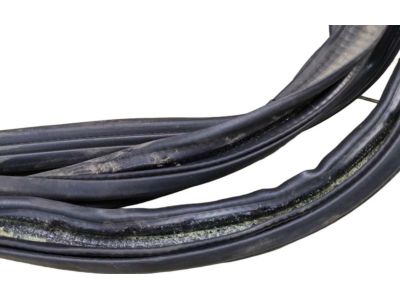 Ford JL1Z-78404A06-B Surround Weatherstrip
