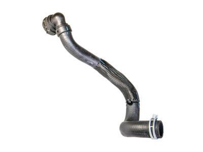 Ford CV6Z-8260-L Lower Hose