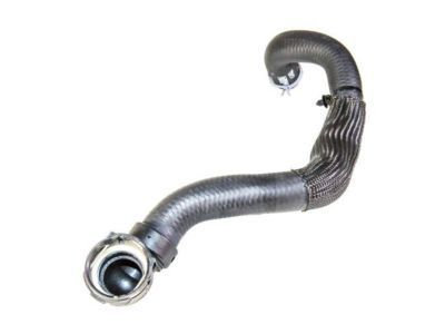 Ford CV6Z-8260-L Lower Hose