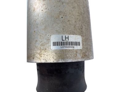 Ford 8L1Z-5A891-B Air Spring