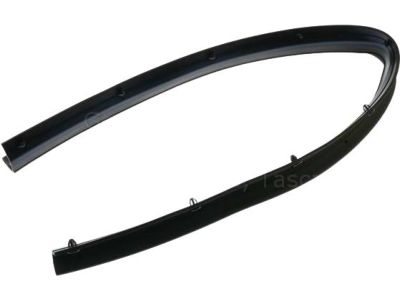 Ford HL3Z-16B990-A Front Weatherstrip