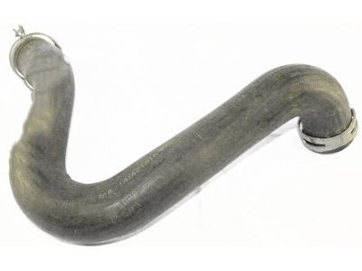 Ford F81Z-8260-CA Upper Hose