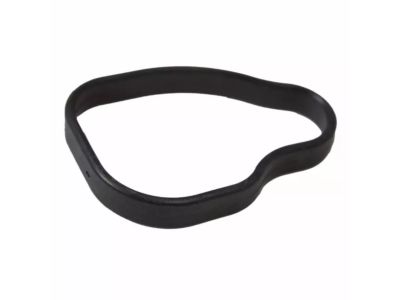 Ford YL3Z-8C387-AA Lower Housing Gasket