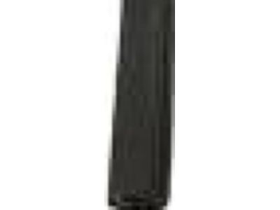 Ford FR3Z-6320708-A Weatherstrip On Body