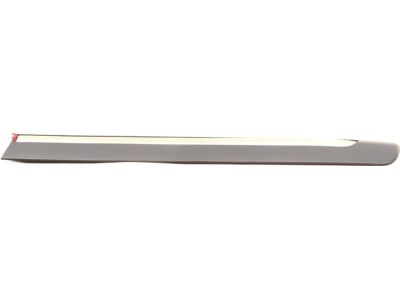 Ford 6W3Z-5425557-APTM Body Side Molding