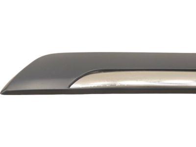 Ford 6W3Z-5425557-APTM Body Side Molding