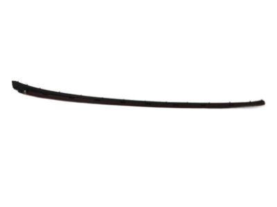Ford BM5Z-5803178-B Windshield Molding Retainer Strip