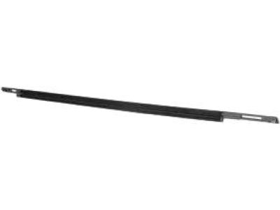 Ford DS7Z-5425860-A Belt Molding