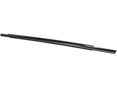 Ford DS7Z-5425860-A Belt Molding