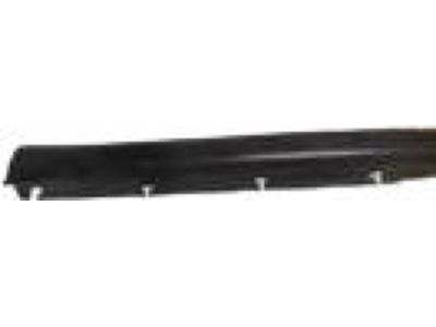 Ford 1L2Z-9820759-AA Lower Weatherstrip