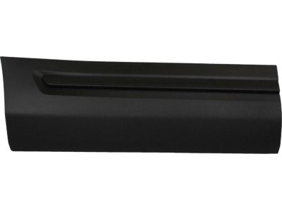 Ford HB5Z-78101A04-AA Lower Molding