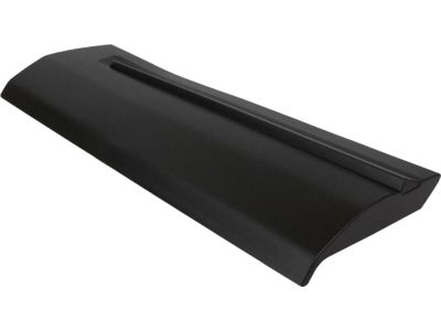 Ford HB5Z-78101A04-AA Lower Molding