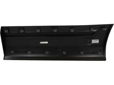 Ford HB5Z-78101A04-AA Lower Molding