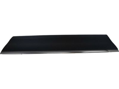Ford 6W1Z-5420878-APTM Body Side Molding