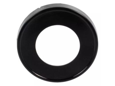 Ford 9C2Z-5423370-AB Window Handle Plate