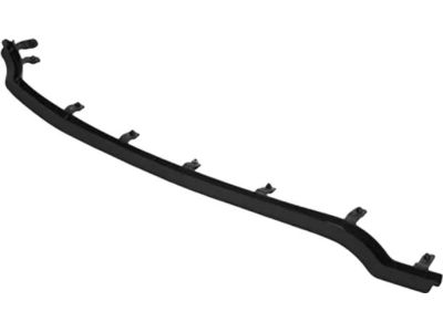 Ford DP5Z-5425325-C Front Weatherstrip