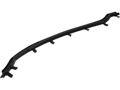 Ford DP5Z-5425325-C Front Weatherstrip