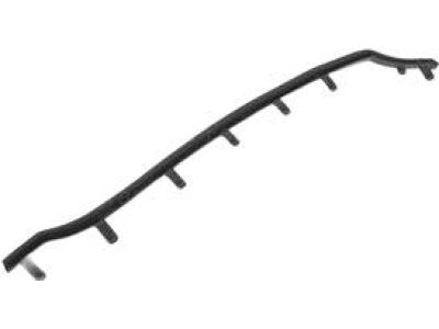 Ford DP5Z-5425325-C Front Weatherstrip