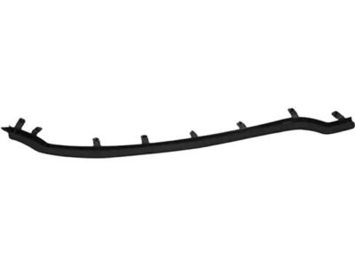 Ford DP5Z-5425325-C Front Weatherstrip