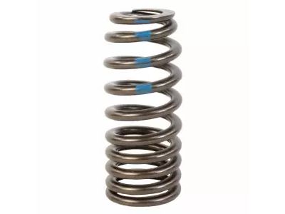 Ford HL3Z-6513-A Valve Springs