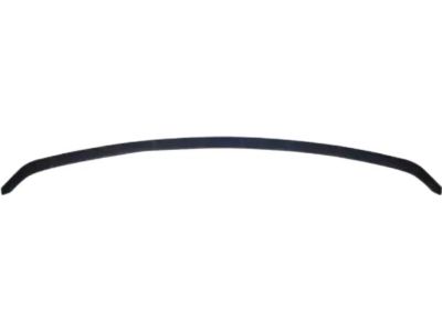 Ford 1L2Z-17626-BA Valance