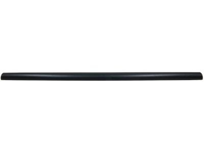 Ford 2C3Z-9940602-AAA Tail Gate Molding
