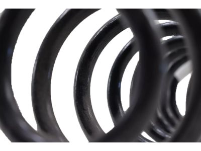 Ford 5R3Z-5560-C Coil Spring